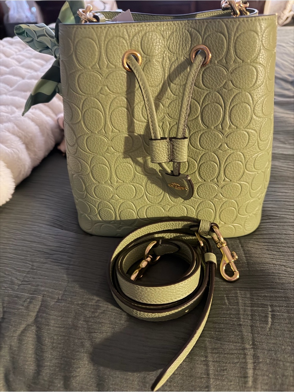 Coach Sage Green Embossed Pebbled Leather Drawstring Bucket Bag with Pouch - Picture 6 of 12
